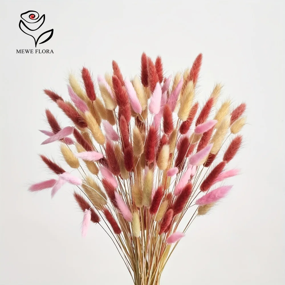 Dried Pampas Bundle - 90pcs Mixed 3 Colors Bunny Tails