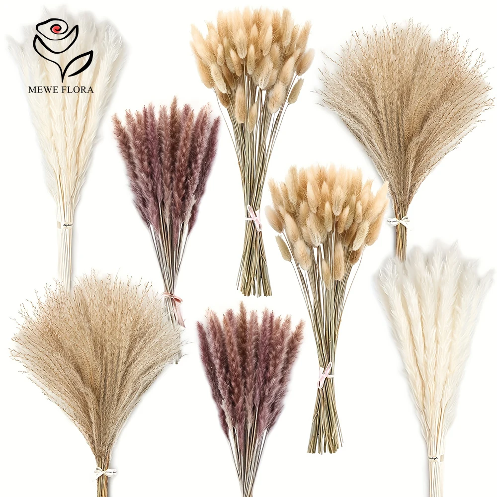 Dried Pampas Bundle - 200Pcs Dried Pampas Bunny Tails Grass