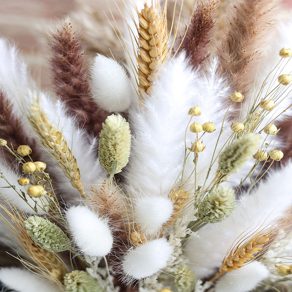 100pcs Dried Pampas Grass Bouq - Dried Pampas Bundle recension och pris