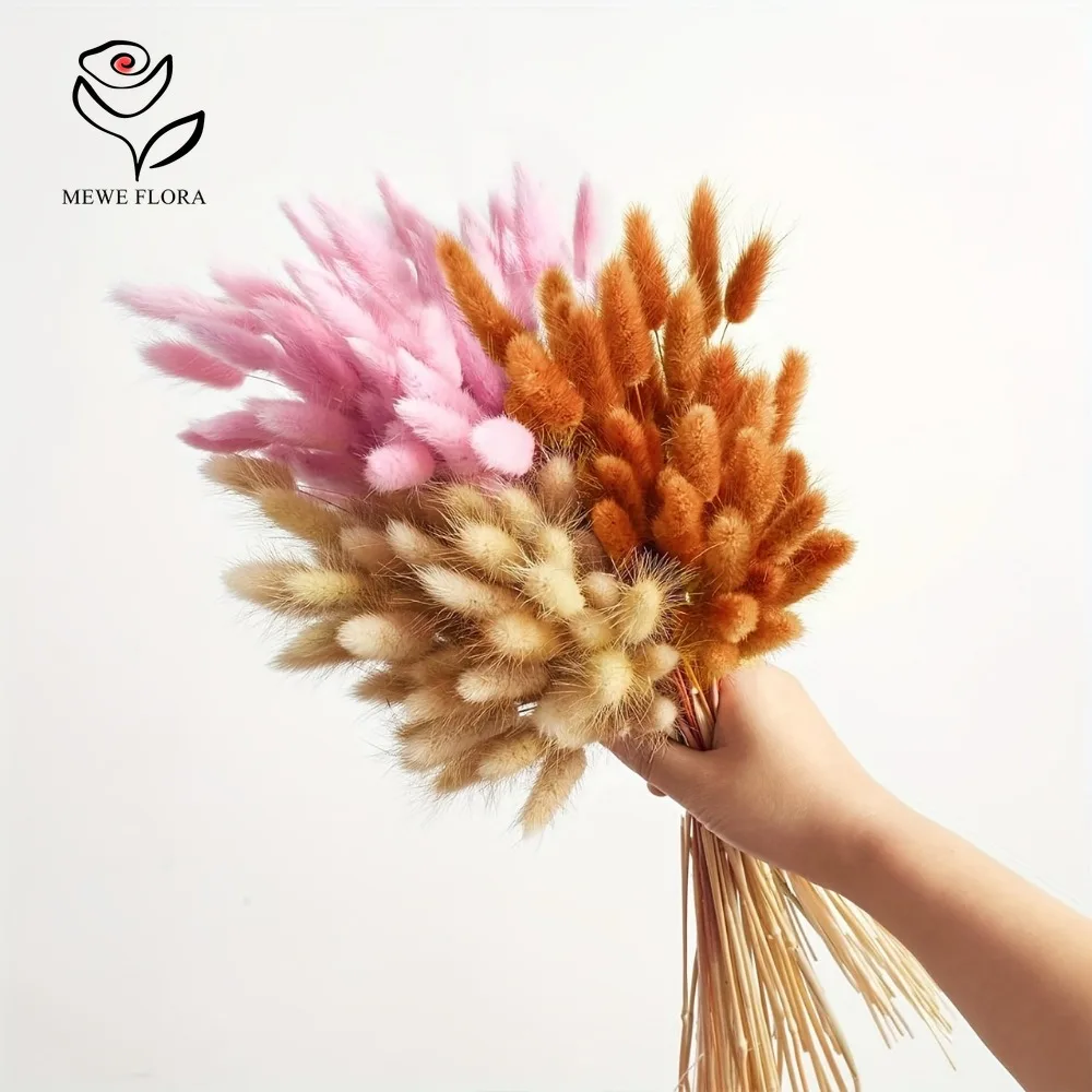 90pcs Mixed 3 Colors Bunny Tai - Dried Pampas Bundle recension och pris