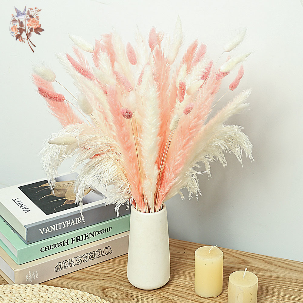 62 Pieces White Reeds Pink Rab - Dried Pampas Bundle recension och pris