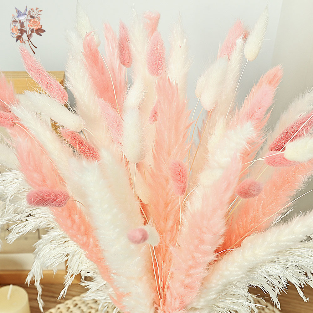 62 Pieces White Reeds Pink Rab - Dried Pampas Bundle recension och pris