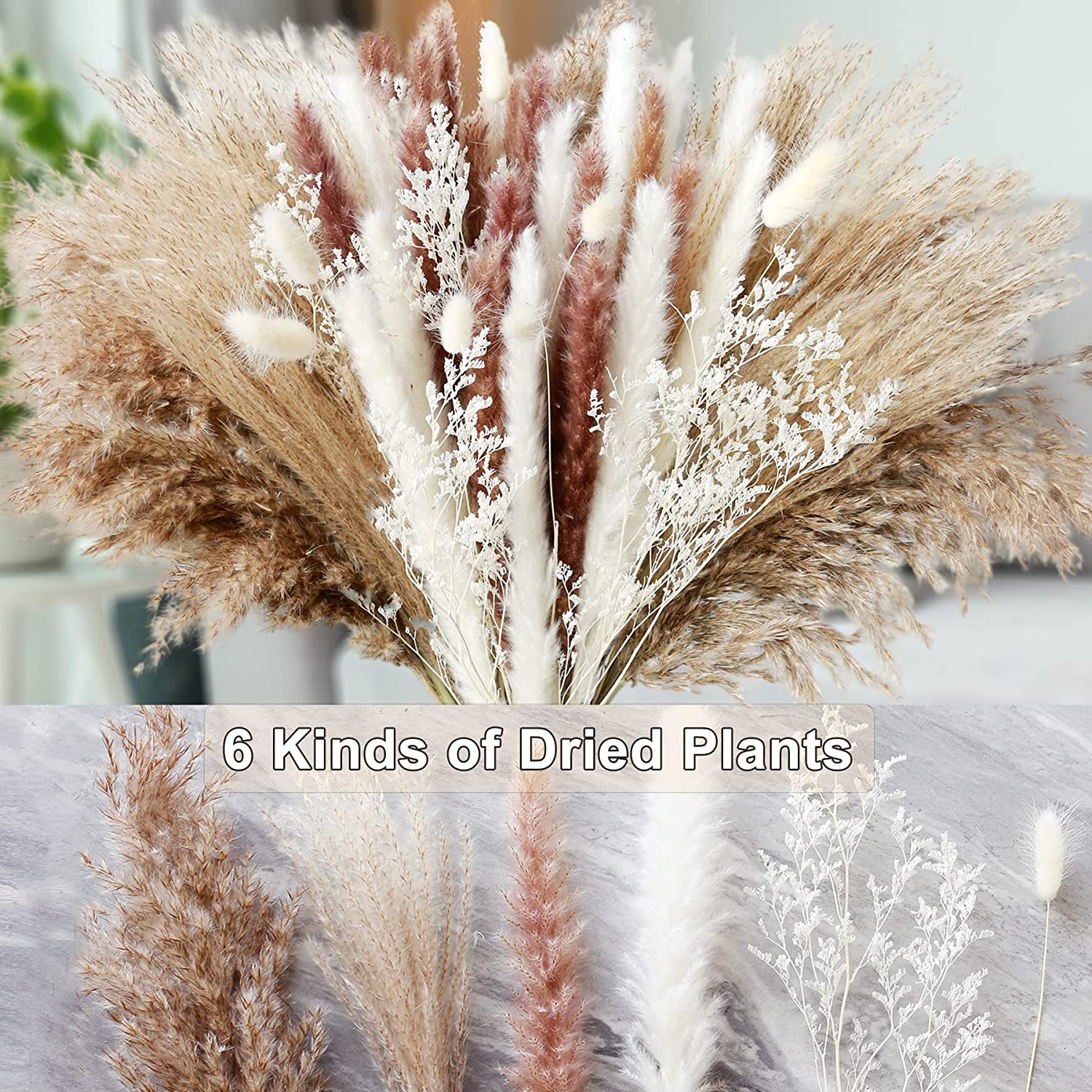 Home Table Decor Dried Plants  - Dried Pampas Bundle recension och pris