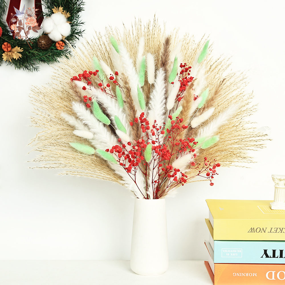 70 Stems Fluffy Green Red Pamp - Dried Pampas Bundle recension och pris