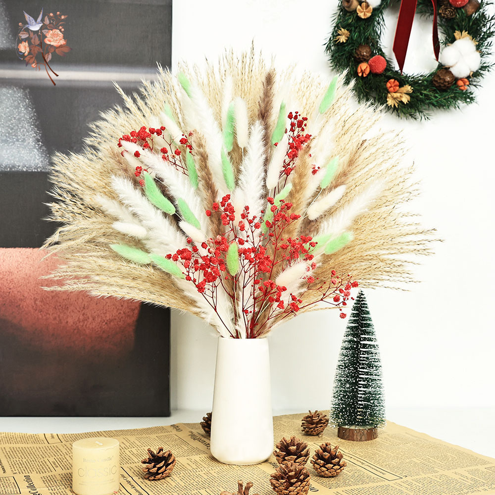 70 Stems Fluffy Green Red Pamp - Dried Pampas Bundle recension och pris