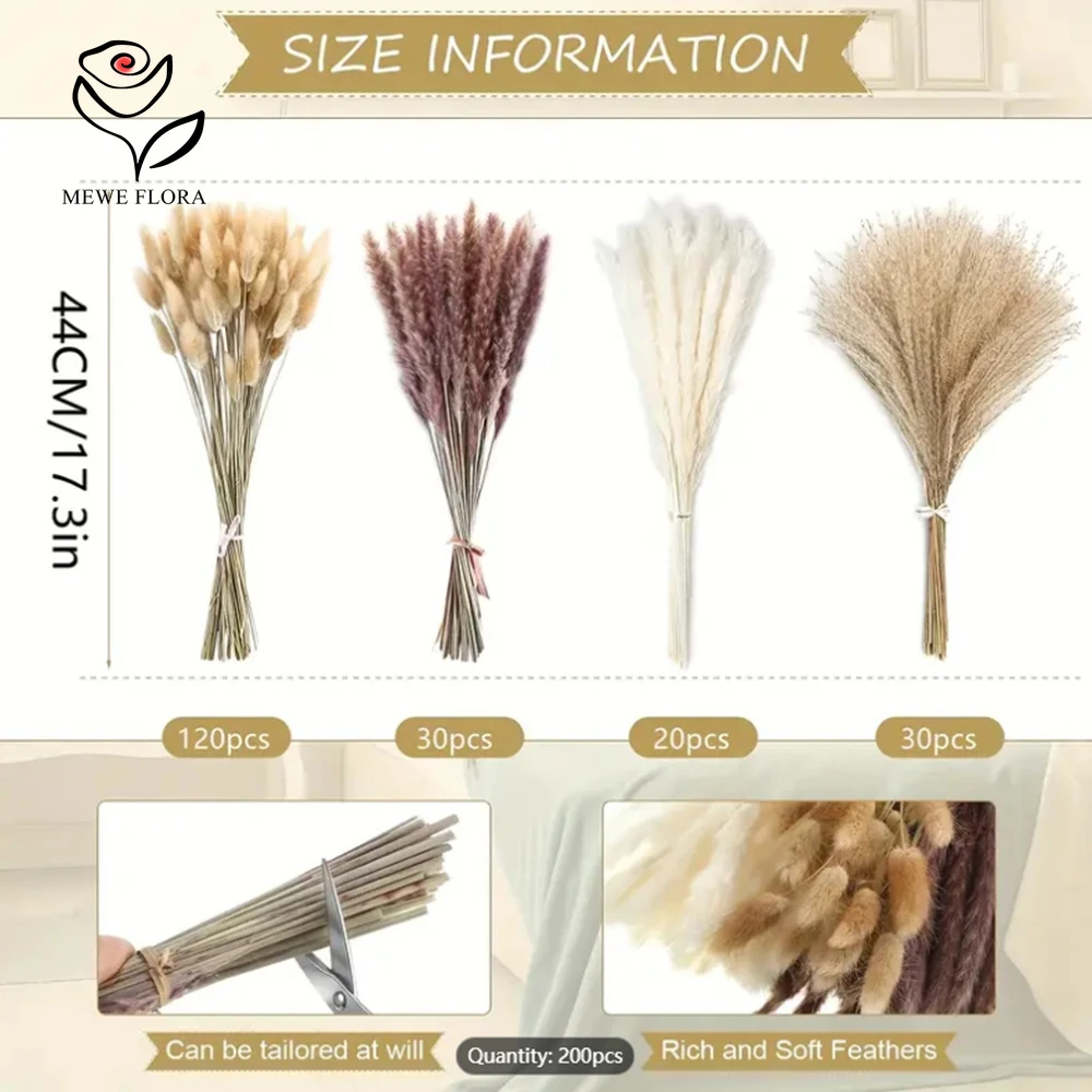200Pcs Dried Pampas Bunny Tail - Dried Pampas Bundle recension och pris
